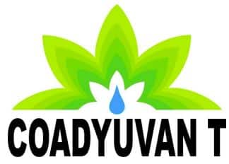 Coadyuvan T